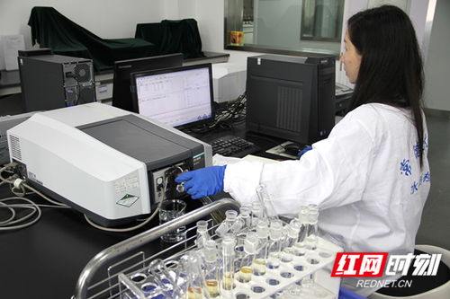 常德水文中心推出灌區水質監測服務，水資源管理網絡技術再添新翼