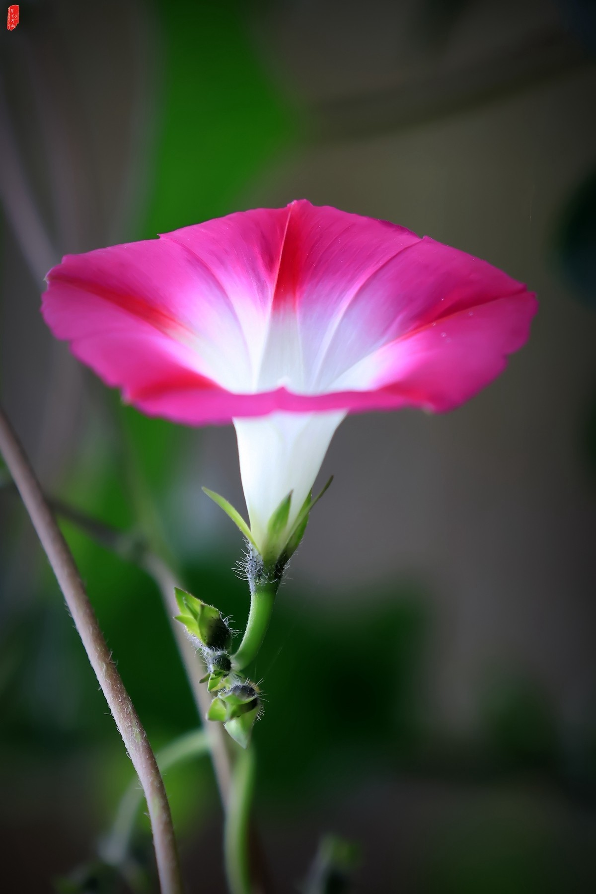 牽?；ㄐ∮? />
</span>
<span id=